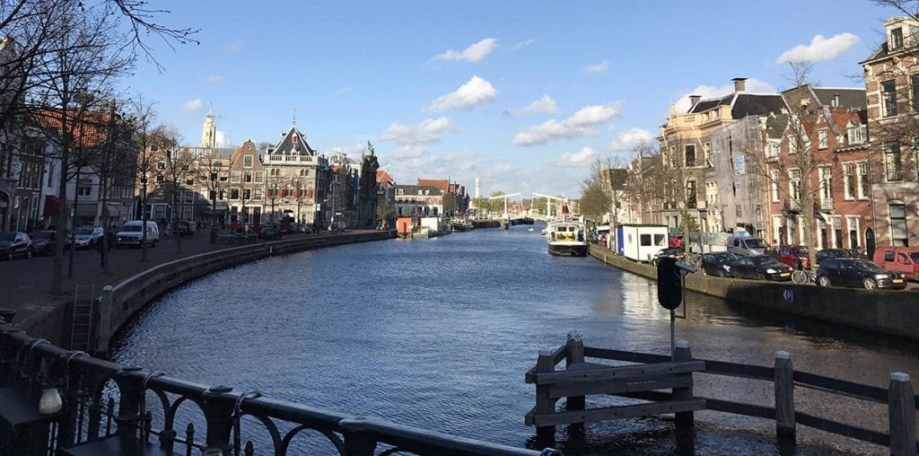 Best things to do in Haarlem
