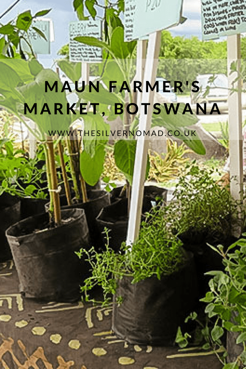 A Visit to Maun Farmers Market at Motsana in Botswana 7 Maun Farmers Market Botswana | The Silver Nomad