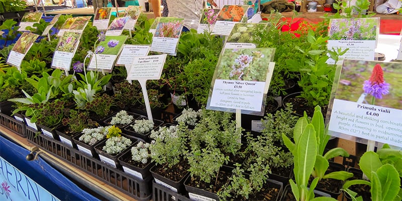 Northern Ark Nursery at Kelso Farmers' Market July