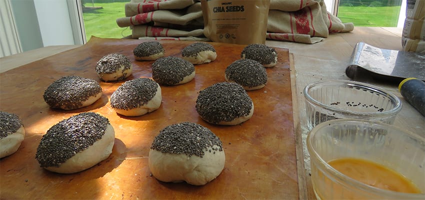 Baking Delicious Bread With Danielle Ellis From Severn Bites 6 Nutrenergy chia seeds topping the rolls