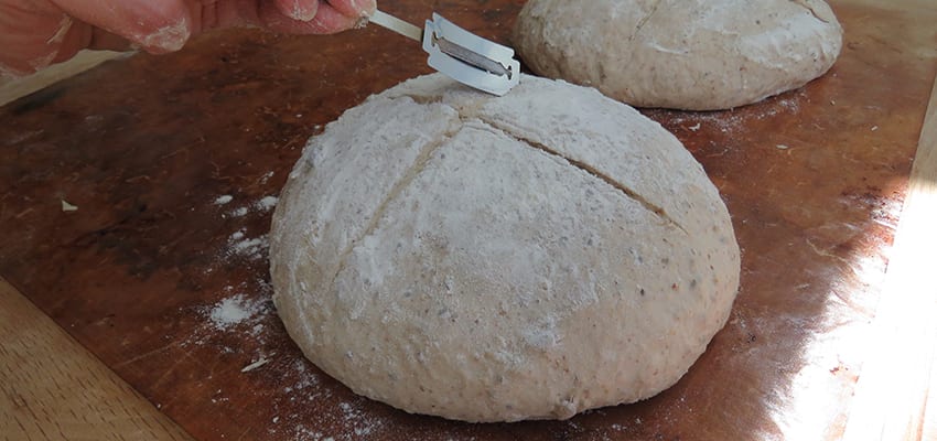 Baking Delicious Bread With Danielle Ellis From Severn Bites 4 Using a Lame to score the multiseed dough