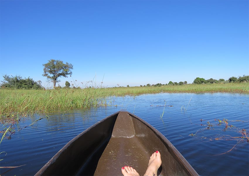 Taking A 3 Day Safari In Botswana'S Amazing Okavango Delta 17 Mokoro boat ride at Rra Dinare