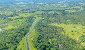 Botswana Travel Guide 12 Safari Botswana FAQ