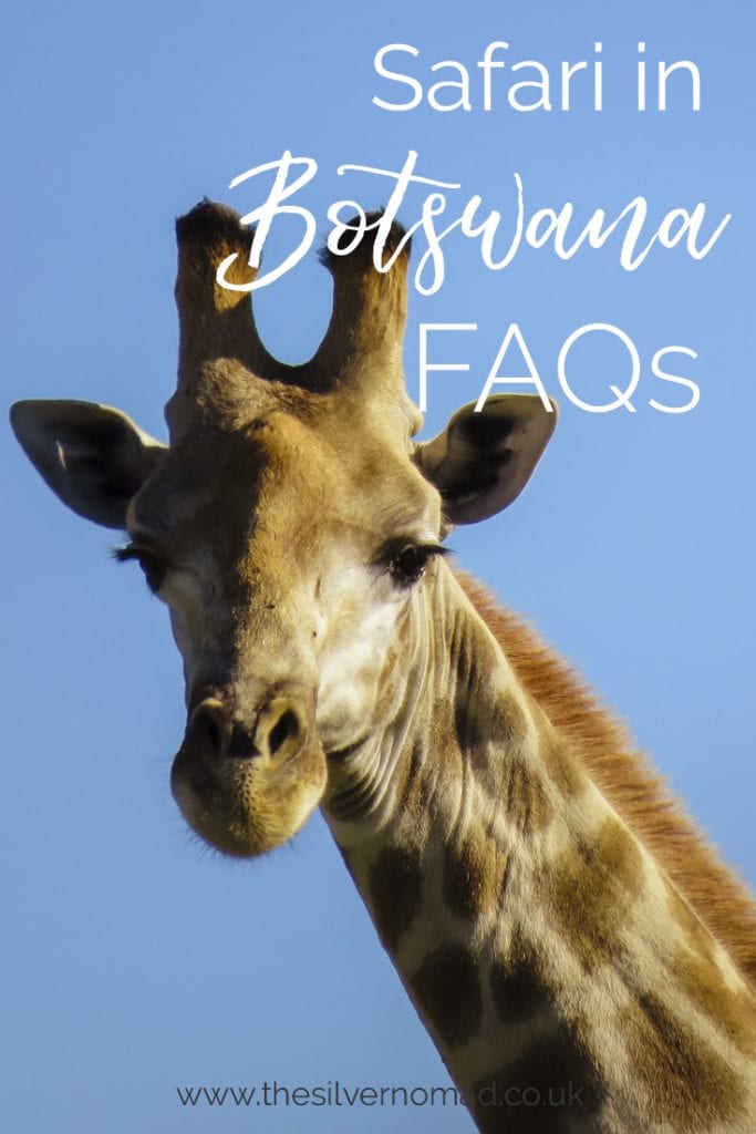 Guide To Enjoying An Amazing Safari In Botswana - 17 Faqs 6 Safari in Botswana FAQs