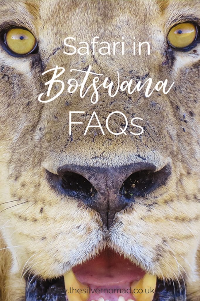 Guide To Enjoying An Amazing Safari In Botswana - 17 Faqs 7 Safari in Botswana FAQs