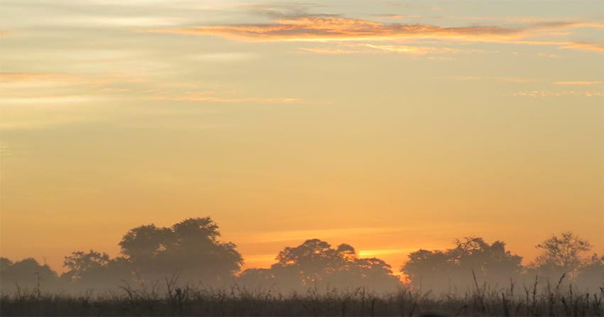Guide To Enjoying An Amazing Safari In Botswana - 17 Faqs 4 dawn over Kwando Lagoon safari