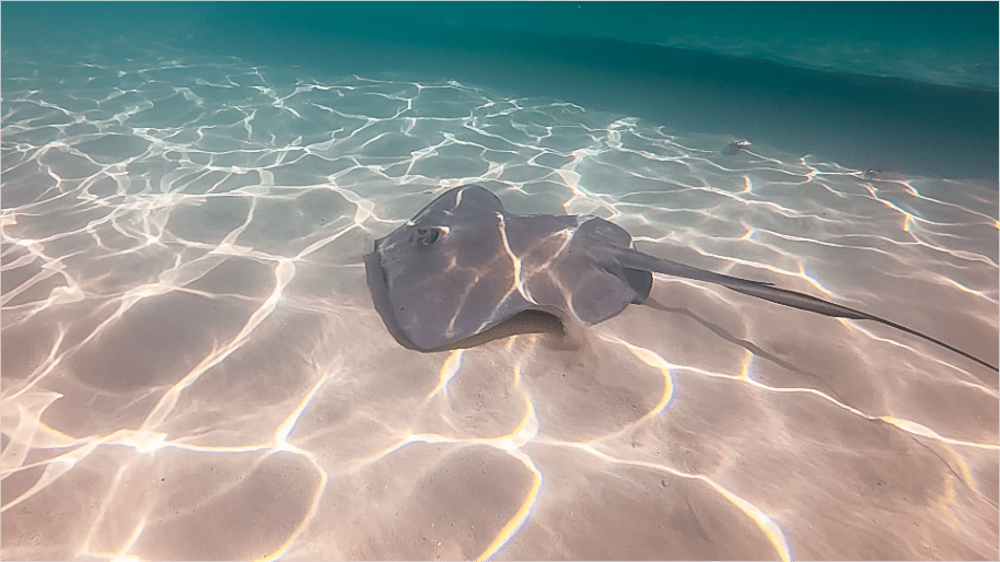 Review Of 2018 - An Amazing Year, But Not Quite What I Planned! 12 Cayman Islands