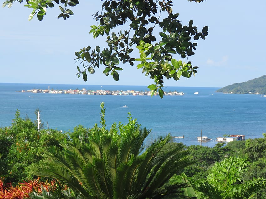 Review Of 2018 - An Amazing Year, But Not Quite What I Planned! 13 The view of the Cay, the sea and lush planting that greeted us in the mornings on Guanaja
