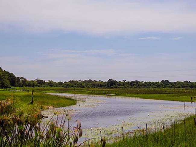7 Of The Best Places To Eat In Maun 11 Okavango River Lodge, Maun