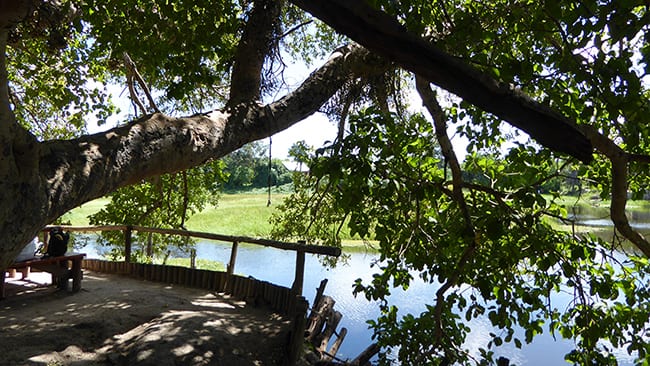 7 Of The Best Places To Eat In Maun 7 Old Bridge Backpackers, Maun