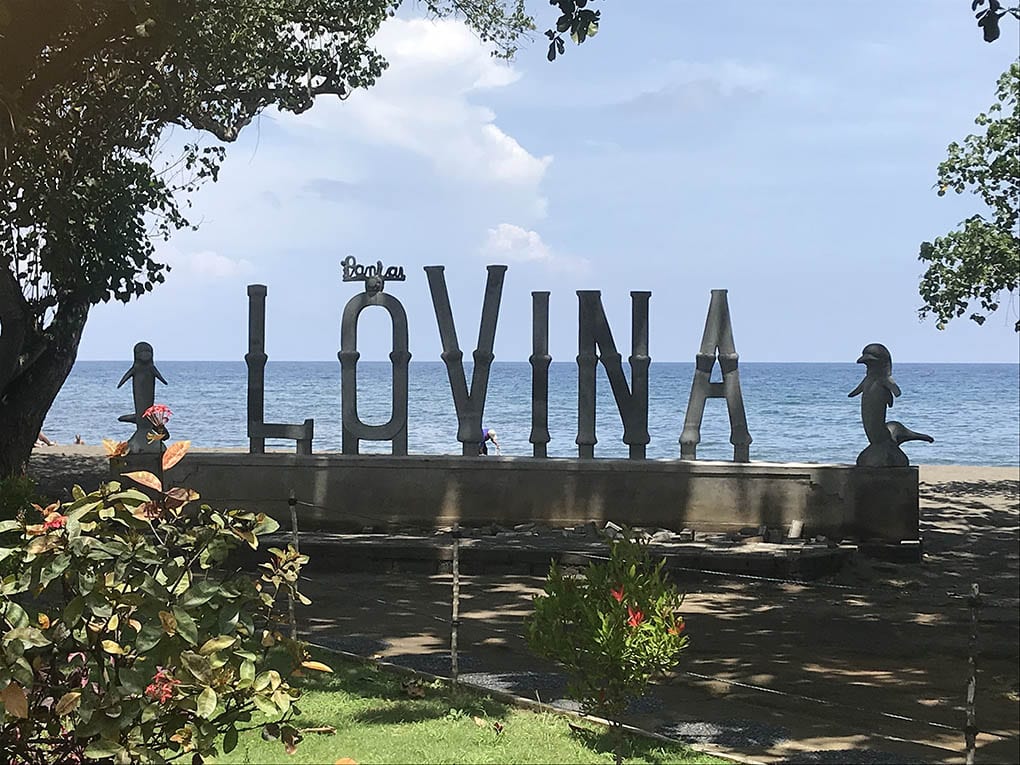 5 of The Best Yoga Retreats in North Bali 4 Lovina one of the best places for yoga retreats in Bali