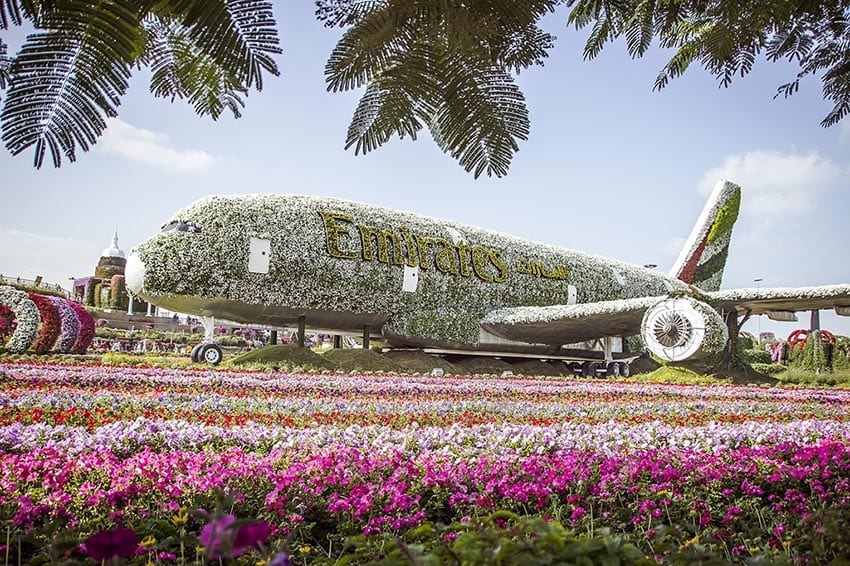A Week In Dubai Itinerary - Best Things To Do In Dubai In 7 Days 12 Dubai Miracle Garden