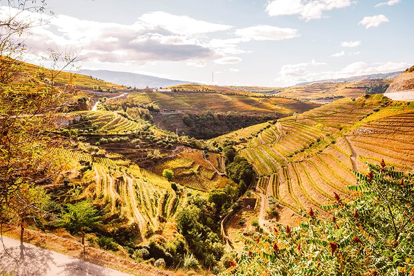 23 Amazing UNESCO Sites in Europe, Off the Beaten Track 15 The Douro Valley in Portugal showing rolling hills