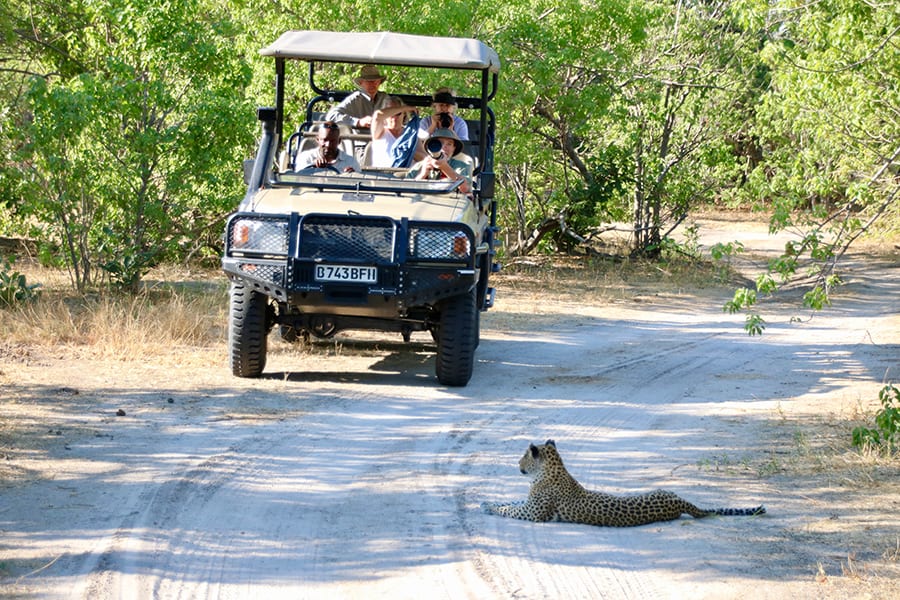 12 Amazing Unesco Heritage Sites In Africa - Off The Beaten Track 5 Safari jeep with five people in it on a sandy path surrounded by green bushes. A leopard is lying in the road