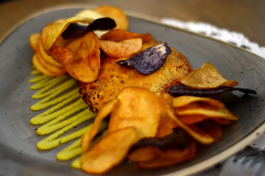Amazing Vegan Restaurants In Europe 4 romeow cat bistrot rome actually