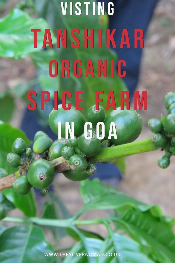 A Fascinating Tour around Tanshikar Spice Farm, South Goa 14 A visit to Tanshikar Spice Farm in Goa