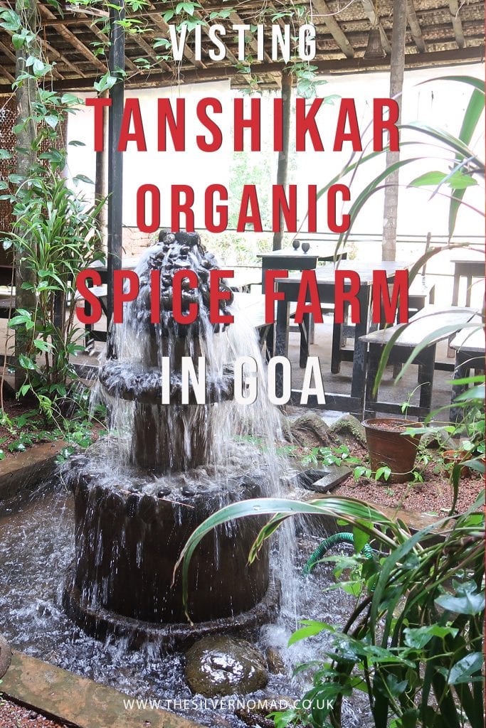 A Fascinating Tour around Tanshikar Spice Farm, South Goa 15 A visit to Tanshikar Spice Farm in Goa
