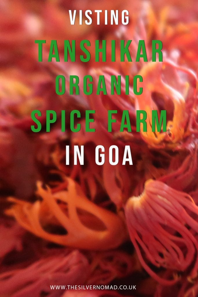 A Fascinating Tour around Tanshikar Spice Farm, South Goa 16 A visit to Tanshikar Spice Farm in Goa
