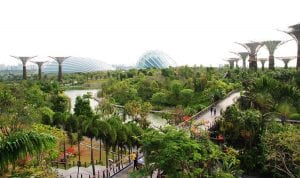 9 Best Things to do in Singapore – Fun Experiences and Free Places to Visit