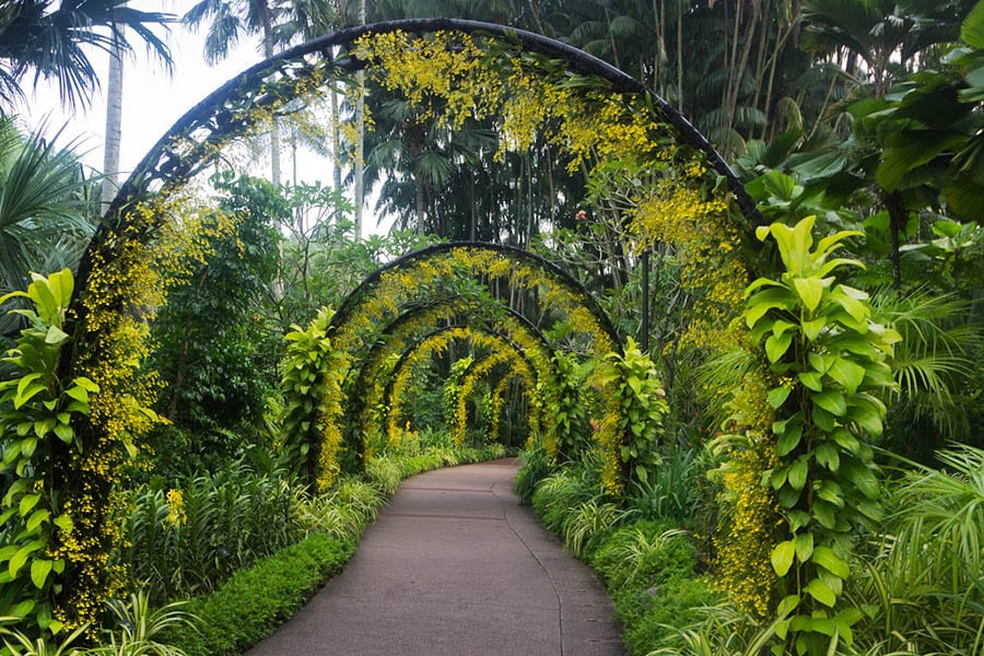 Singapore Botanic Garden