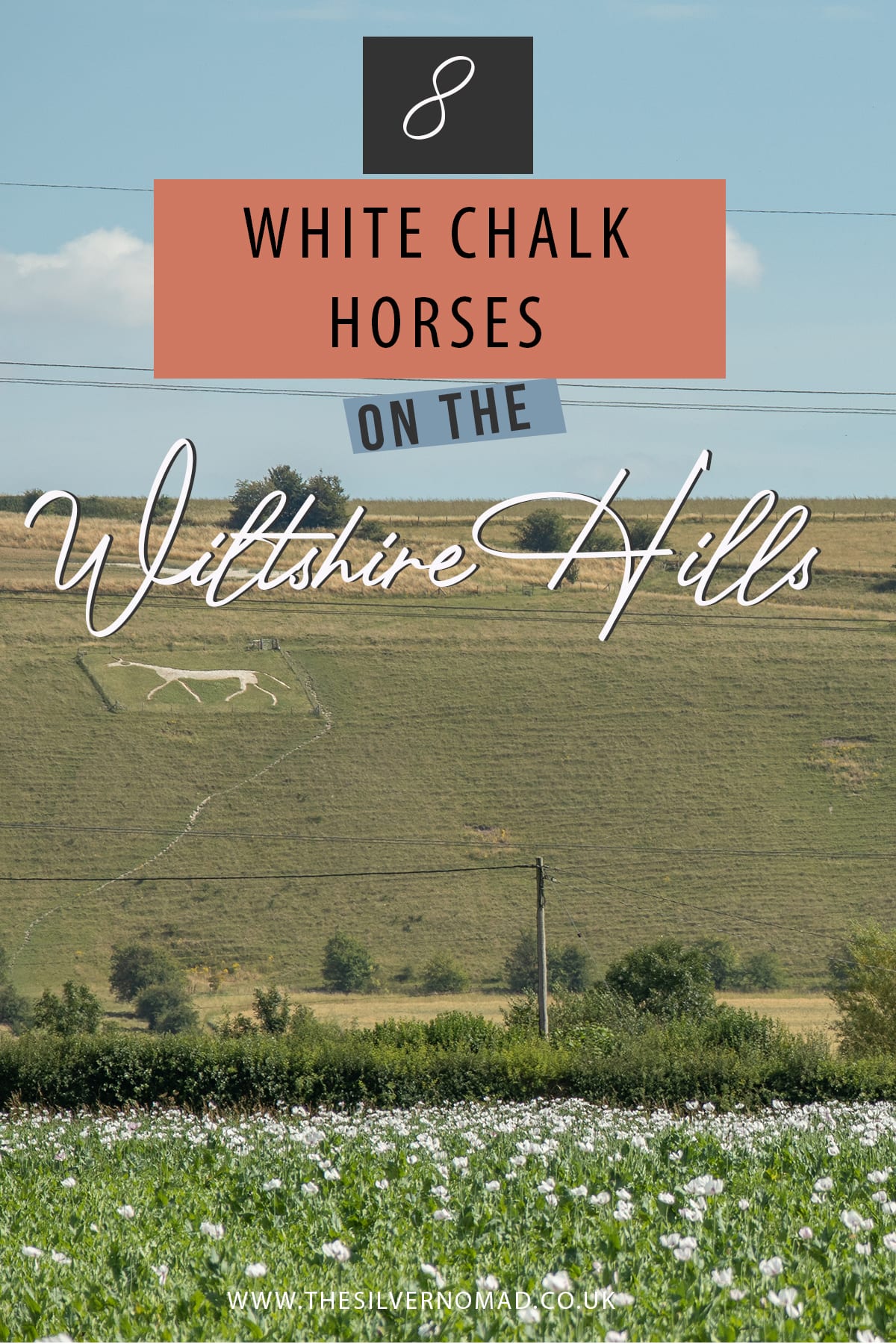 Guide to the Amazing 8 White Chalk Horses on the Wiltshire Hills The