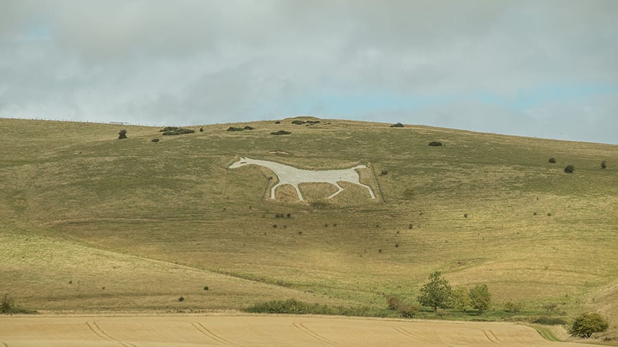 alton barnes white horse