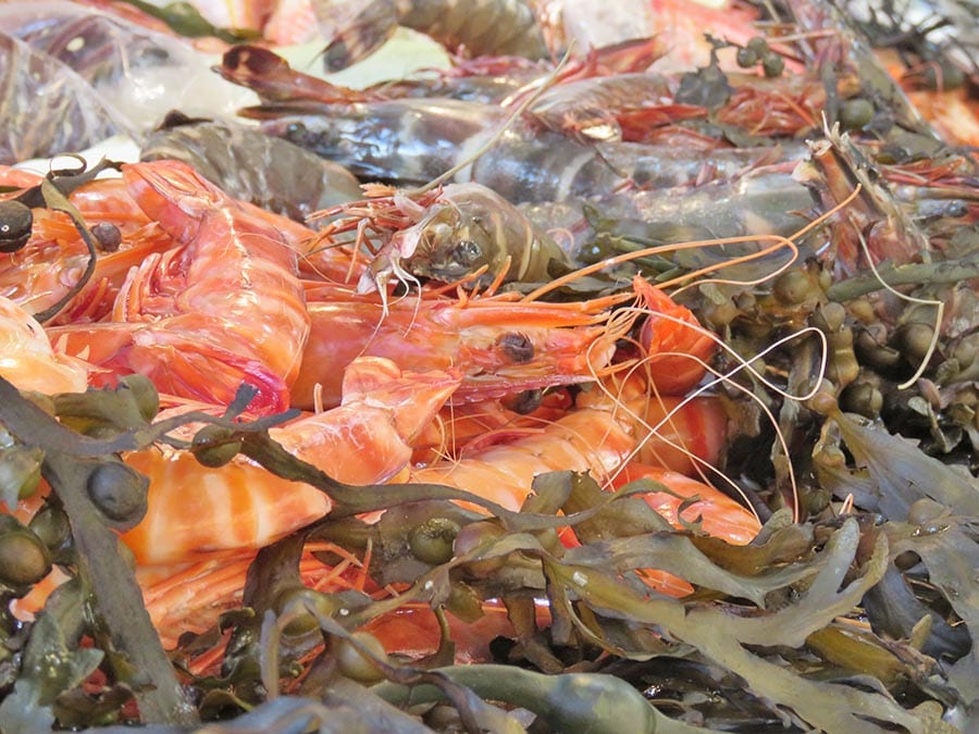 FAYENCE market fresh seafood