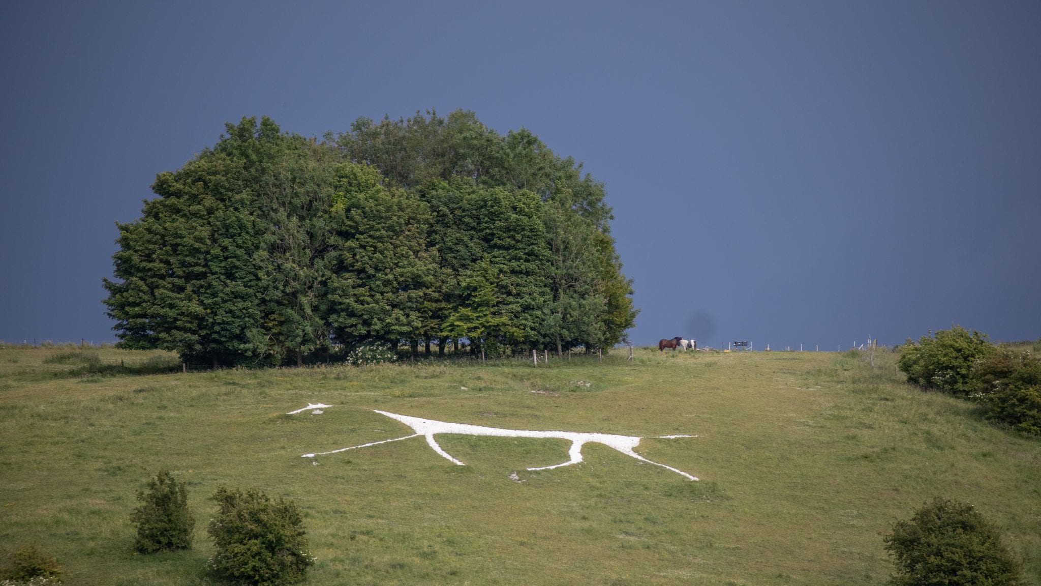 Guide to the Amazing 8 White Chalk Horses on the Wiltshire Hills The