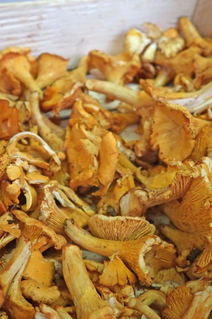 5 Best Places To Eat In Gorizia, Italy 24 MERCATO COPERTO cepes