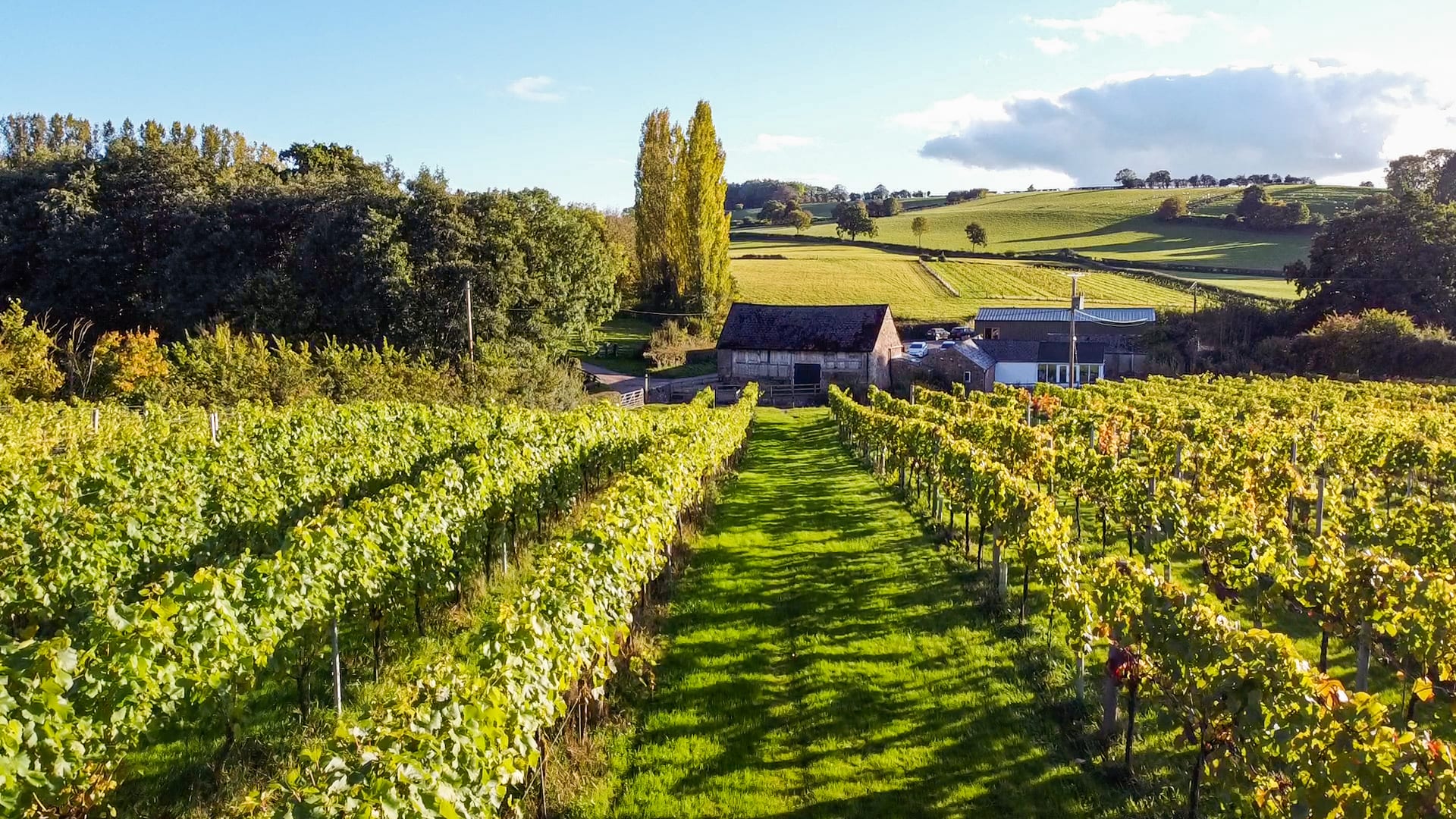 White Castle Vineyard - Tasting Delicious Award Winning Welsh Wines 