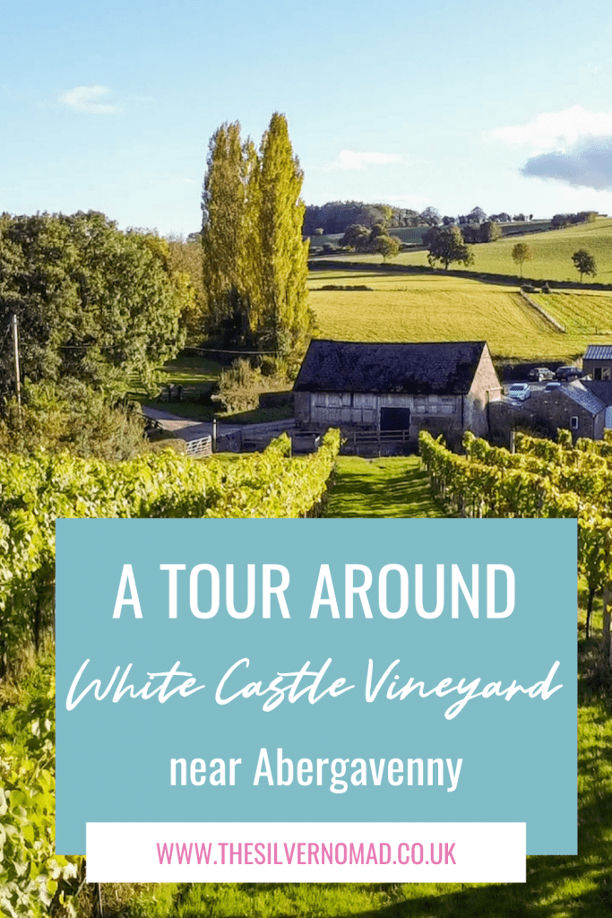 White Castle Vineyard - Tasting Delicious Award Winning Welsh Wines 14 A Tour around White Castle Vineyard