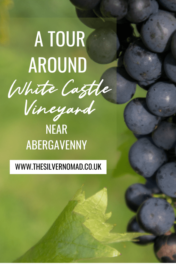 White Castle Vineyard - Tasting Delicious Award Winning Welsh Wines 12 White Castle Vineyard