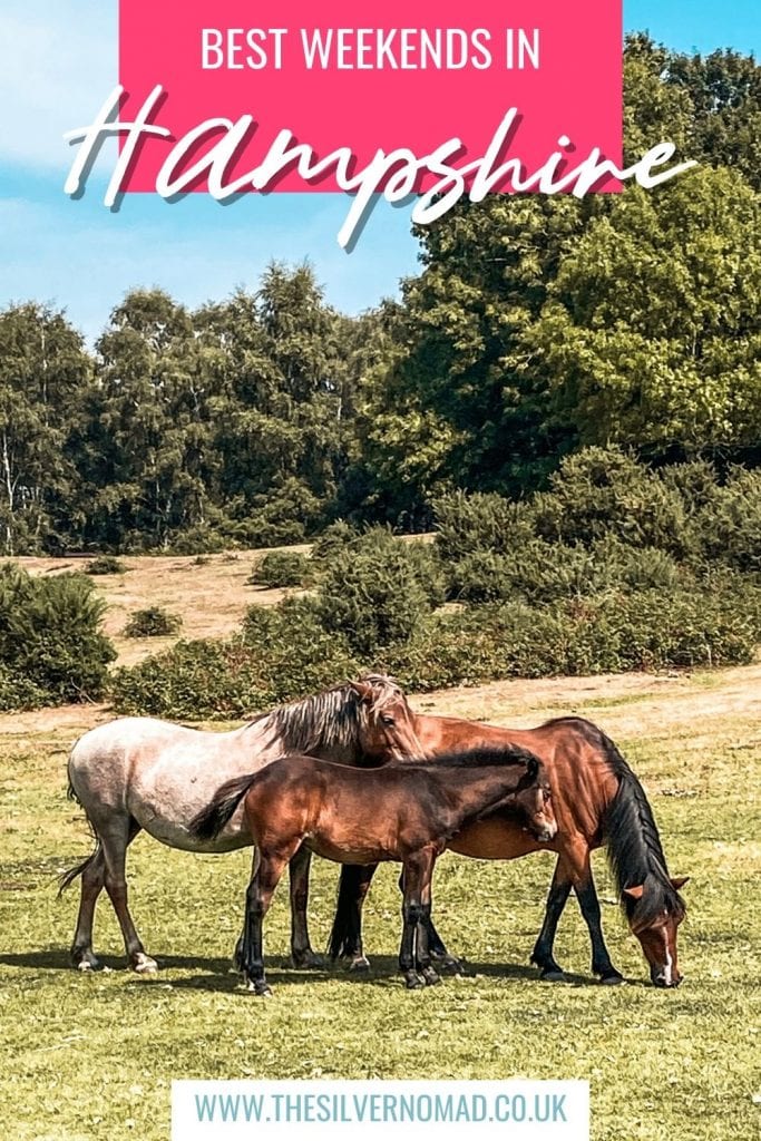 6 Of The Best Weekends In Hampshire, Uk 8 image of horses in a field with Best Weekends in Hampshire superimposed