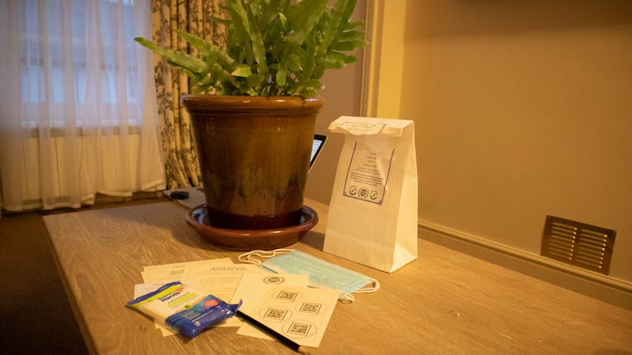 Complimentary Guestroom Amenity Kit including wipes, masks, next to a fern plant in a brown pot