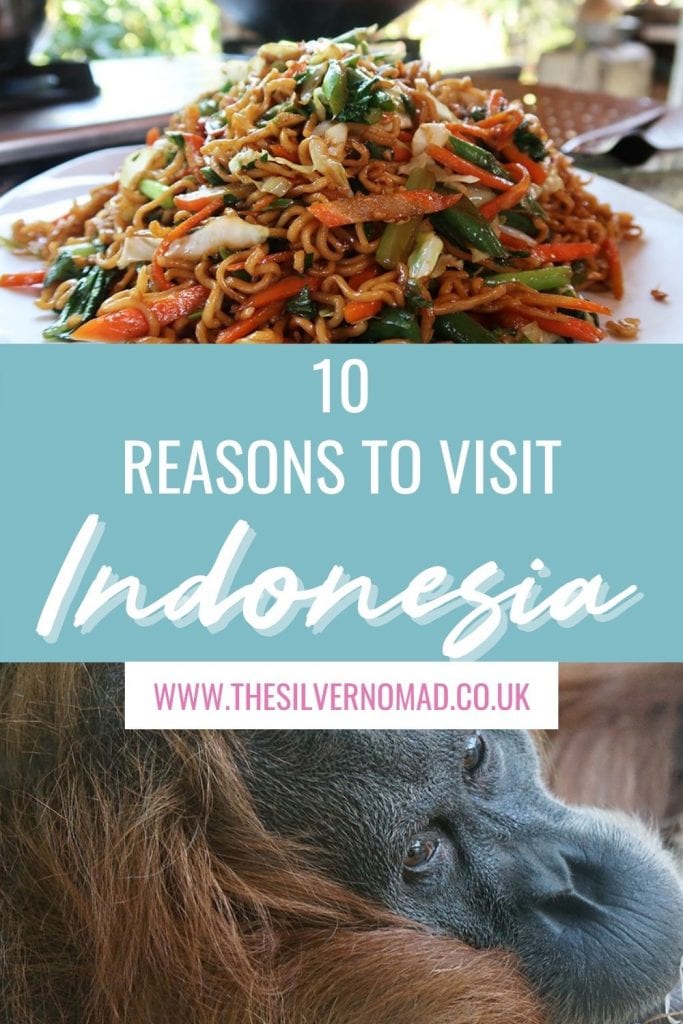 10 Great Reasons To Visit Indonesia 14 split image of a plate of noodles with carrots, cabbage and spring onions and an image of an orang-utan on bottom with the words 10 reasons to visit Indonesia superimposed