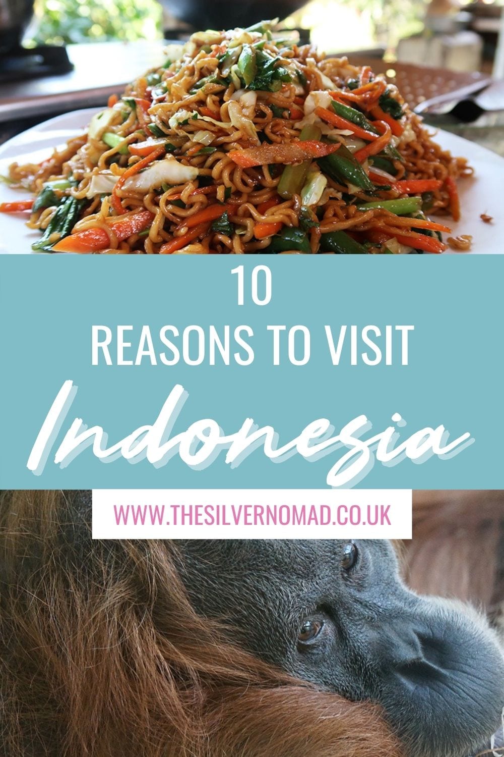 10 Great Reasons to Visit Indonesia | The Silver Nomad