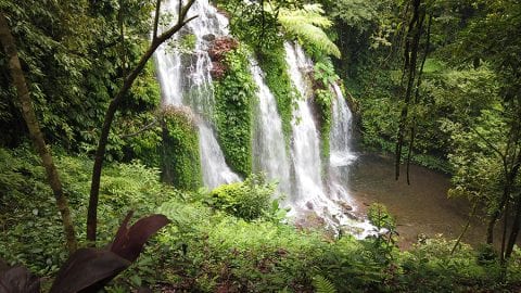 10 Great Reasons to Visit Indonesia | The Silver Nomad