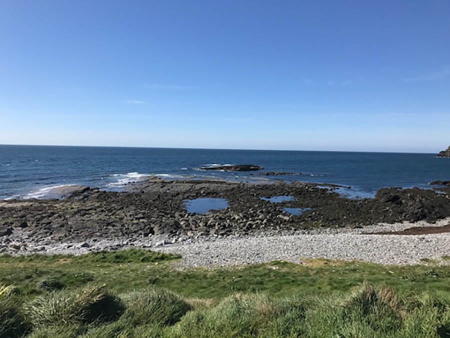 20+ Of The Best Things To Do In Port St Mary, Isle Of Man (2023) 9 sea with rock pools and grass in the foreground