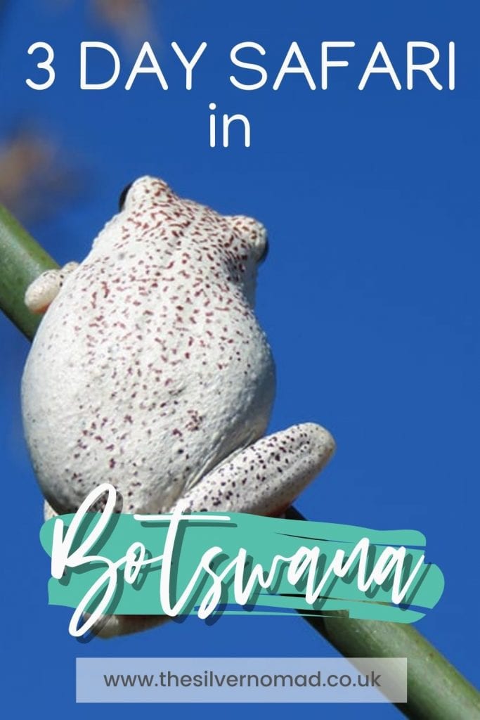 Taking A 3 Day Safari In Botswana'S Amazing Okavango Delta 25 3 Day safari in Botswana
