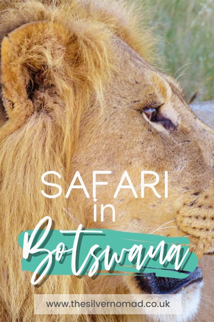 Taking A 3 Day Safari In Botswana'S Amazing Okavango Delta 2 safari in Botswana