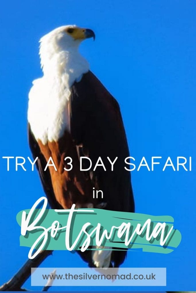 Taking A 3 Day Safari In Botswana'S Amazing Okavango Delta 26 try a 3 Day safari in Botswana