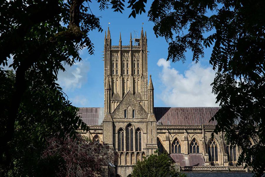 View of Wells Cathedral through trees