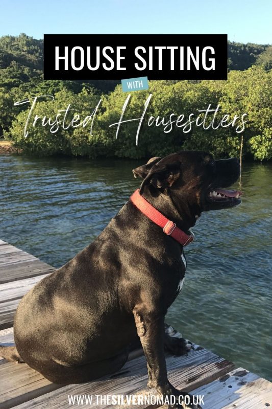 House and pet sitting around the world with free accommodation. How to start out house-sitting with Trusted Housesitters.