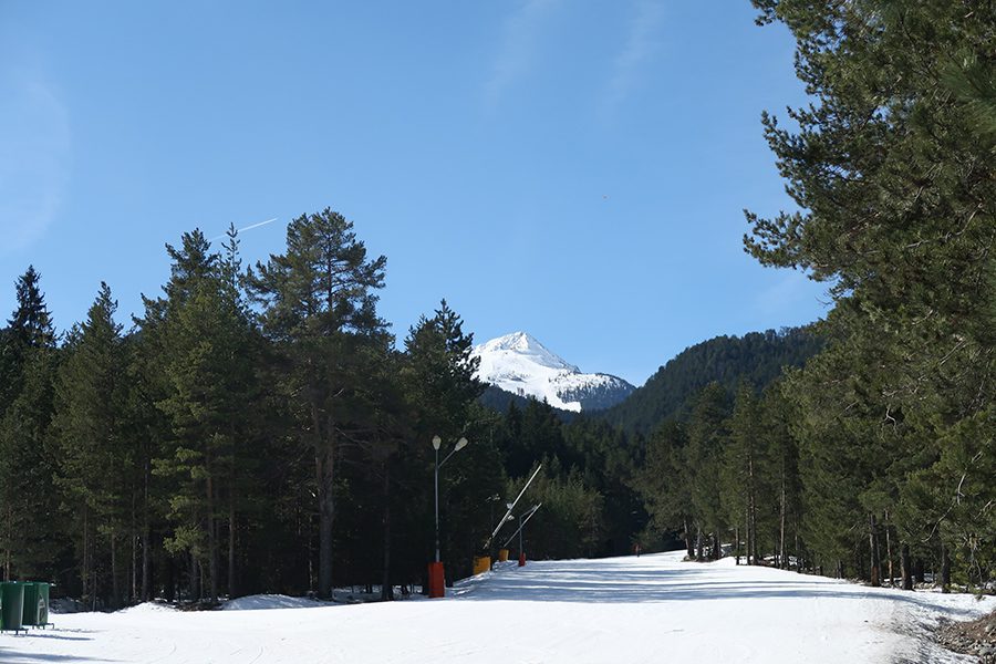 22 Amazing Destinations For Winter Snow Around The World 11 Bansko ski run with mountains in the background and pine trees