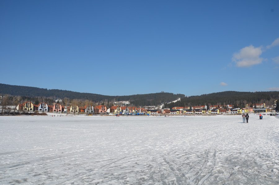 snow covered ground with pastel coloured houses and tree covered trees in the backgroun