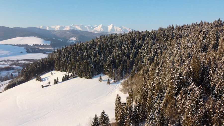 Tatra Mountains in Poland from above with snow and pine trees