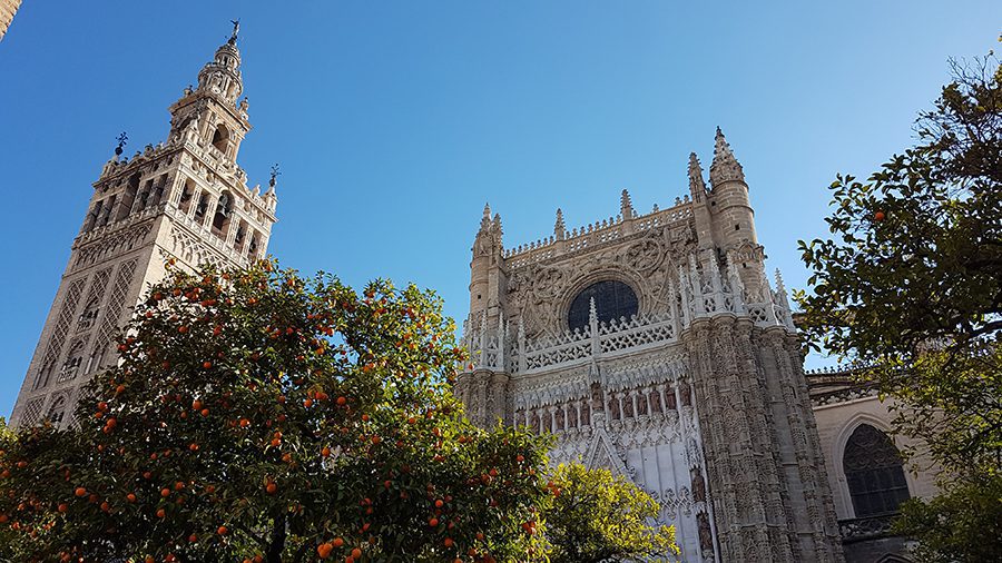 25 Amazing Destinations For Winter Sun Around The World 22 Giralda and Cathedral with almost lace effect carving and decorations on the towers against a blue sky