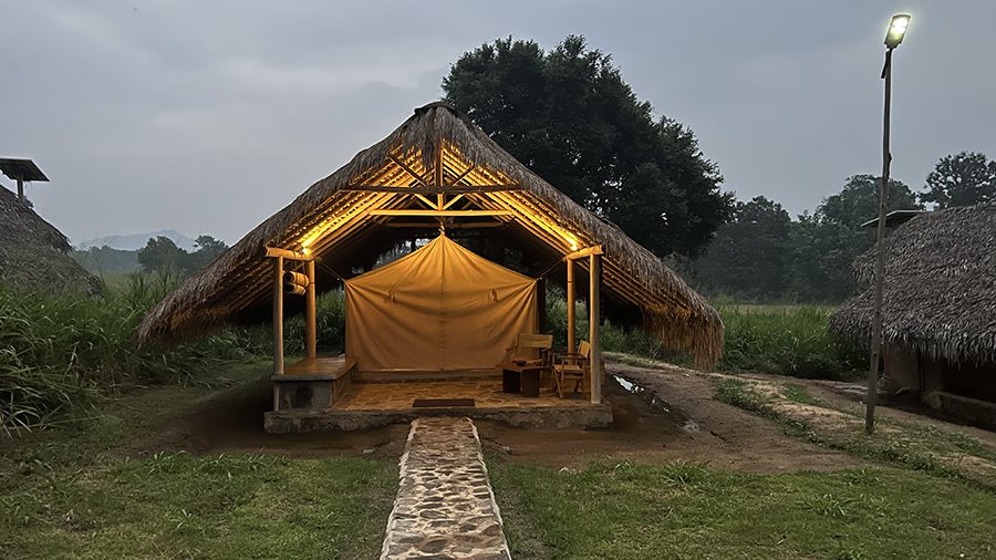 An Eco-Friendly Stay at Wild Glamping Gal Oya, Sri Lanka (2025) 5 Wild Glamping Double Tent