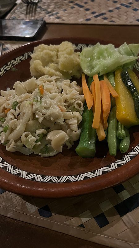 An Eco-Friendly Stay at Wild Glamping Gal Oya, Sri Lanka (2025) 12 pasta with vegetables