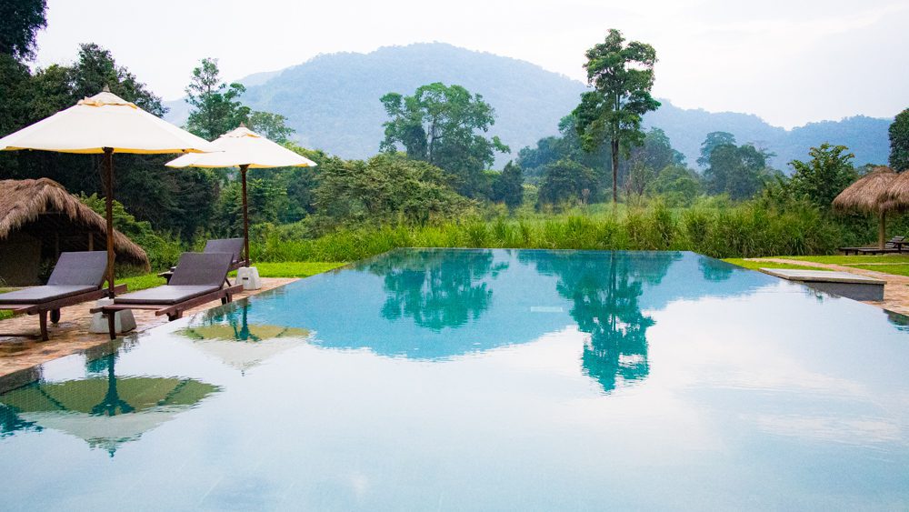 An Eco-Friendly Stay at Wild Glamping Gal Oya, Sri Lanka (2025) 8 Wild Glamping Gal Oya Swimming Pool with tree covered mountain behind
